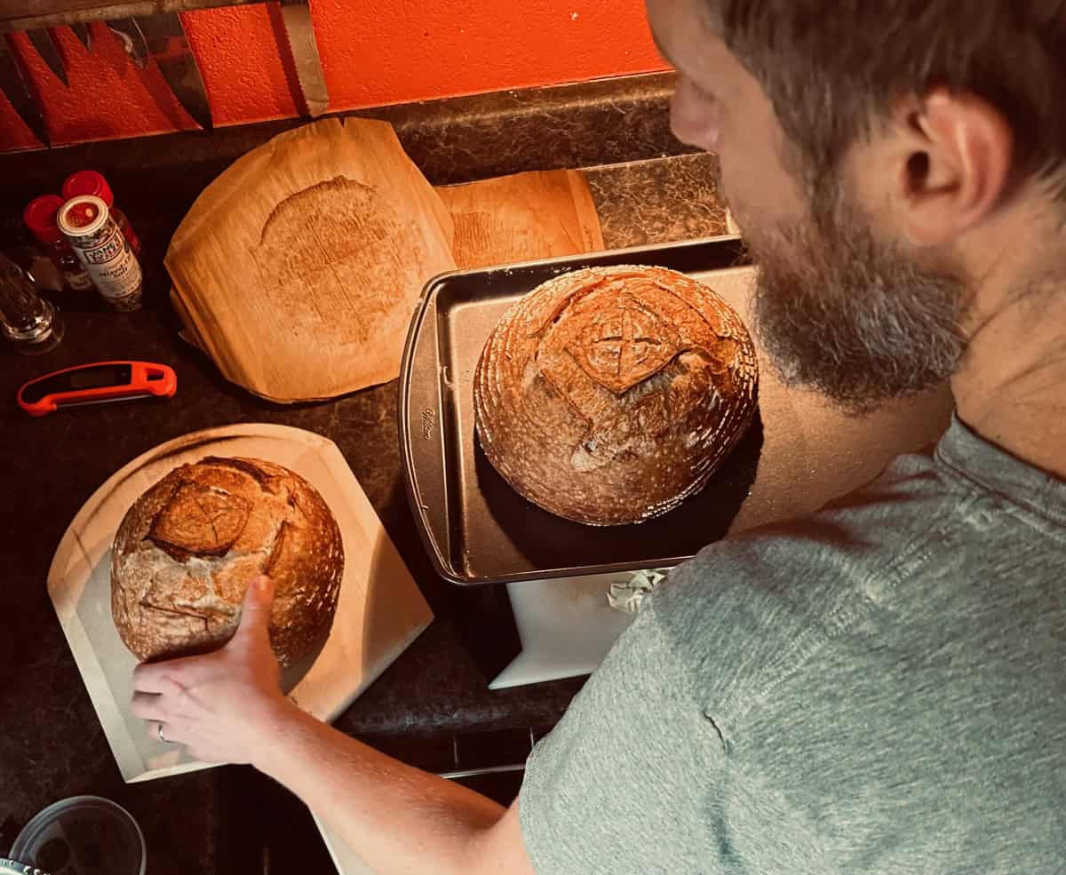 cooked loaves on counter