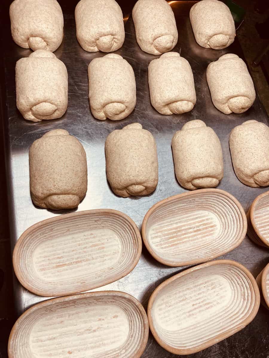 dough balls on prep table